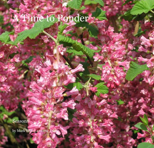 View A Time to Ponder by Mark Young and Sue Johns