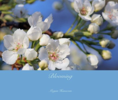Blooming book cover