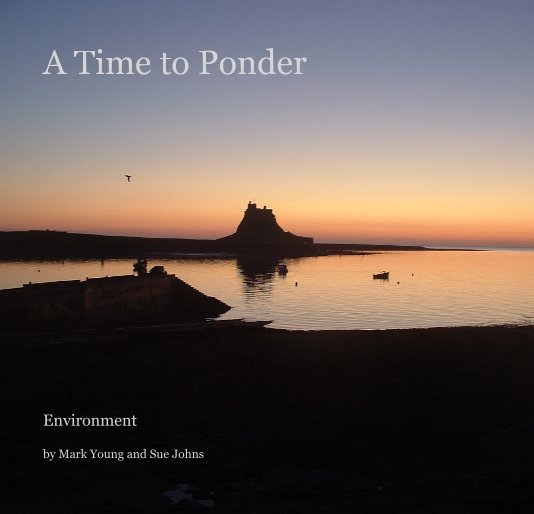 Visualizza A Time to Ponder di Mark Young and Sue Johns
