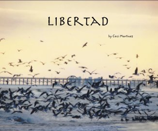 Libertad book cover