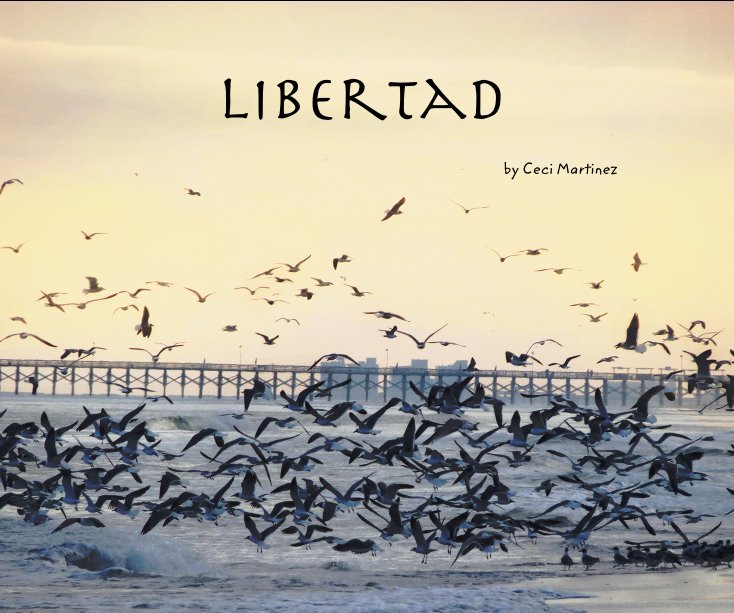 View Libertad by Ceci Martinez
