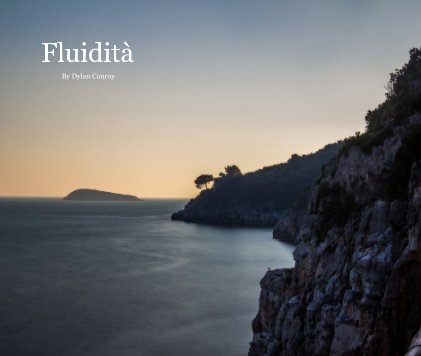 Fluidità book cover