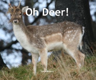 Oh Deer! book cover