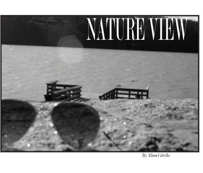 Nature View book cover