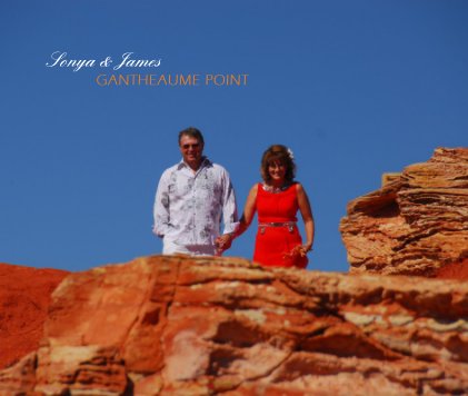 Sonya & James GANTHEAUME POINT book cover