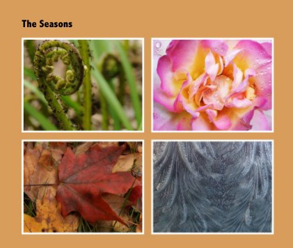 The Seasons book cover