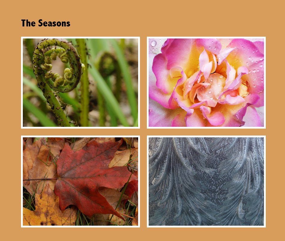 View The Seasons by John Cessna
