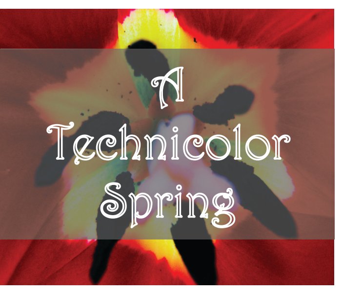 Ver A Technicolor Spring por Lindsey Rutz