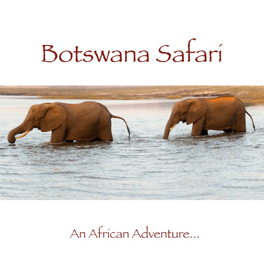 View Botswana Safari by Dave Miller