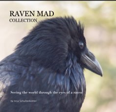 RAVEN MAD COLLECTION book cover
