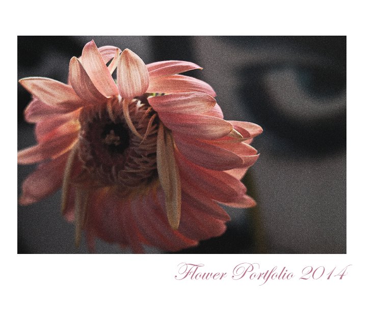 View Flower Portfolio 2014 by perksfilm