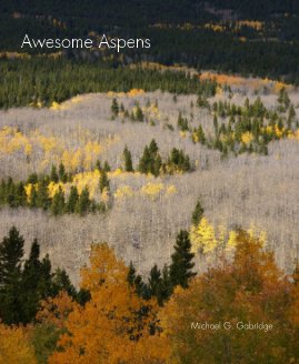 Awesome Aspens book cover