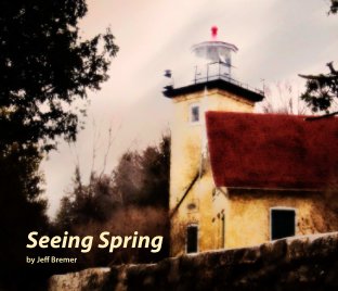 Seeing Spring book cover