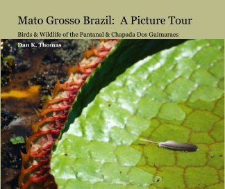 Mato Grosso Brazil:  A Picture Tour book cover