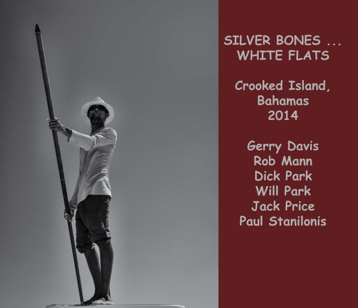 Ver SILVER BONES ... WHITE FLATS por Gerry Davis