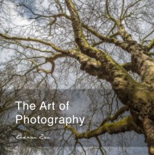 The Art of Photography book cover