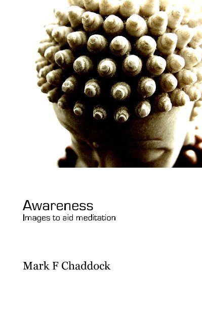 View Awareness by Mark F Chaddock