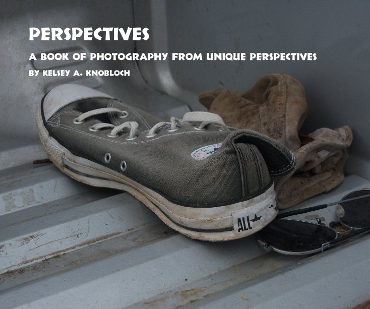 View Perspectives by Kelsey A. Knobloch