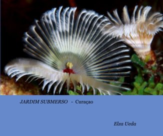 JARDIM SUBMERSO - Curaçao book cover