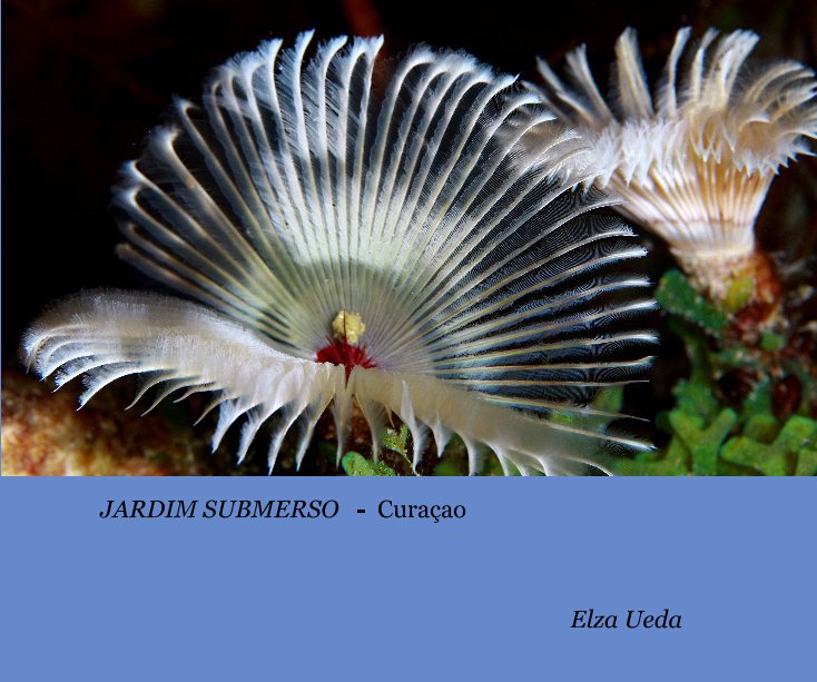 Bekijk JARDIM SUBMERSO - Curaçao op Elza Ueda