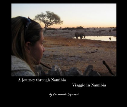 A journey through Namibia book cover