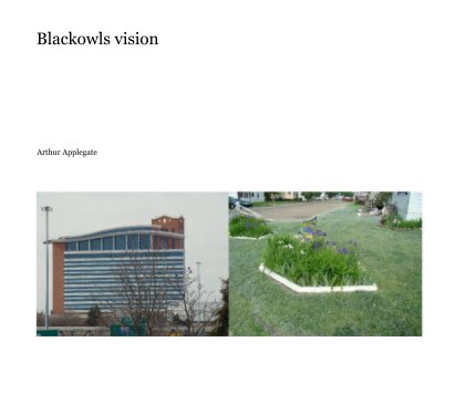 blackowls vision book cover