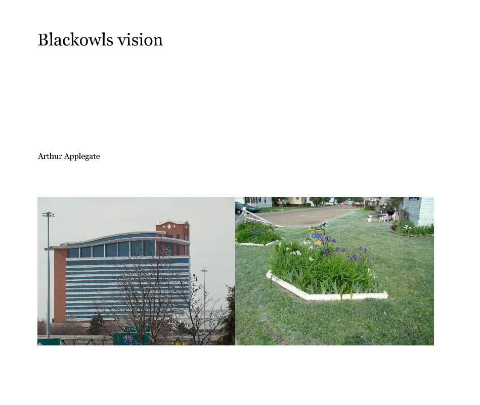 Ver blackowls vision por Arthur Applegate