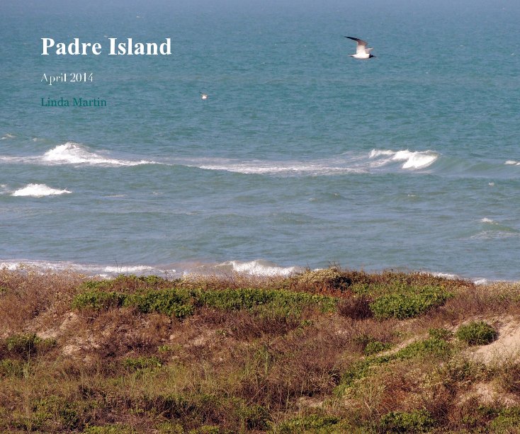 View Padre Island by Linda Martin