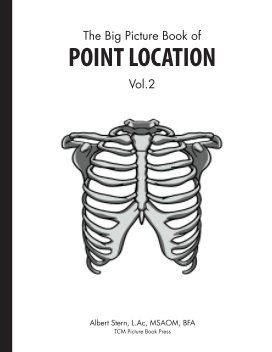 Big Picture Book of Point Location Vol 2. book cover