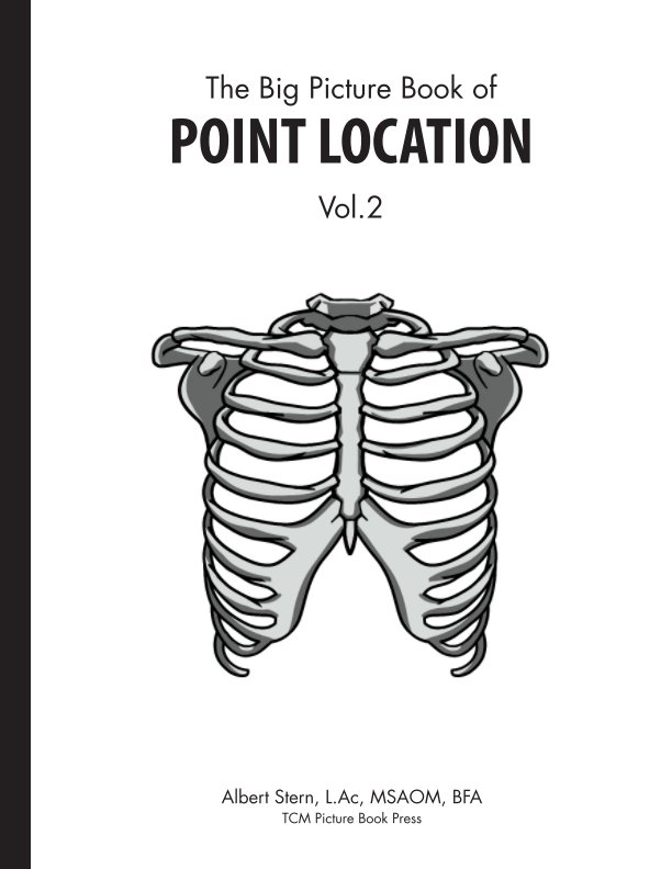 Ver Big Picture Book of Point Location Vol 2. por Albert Stern