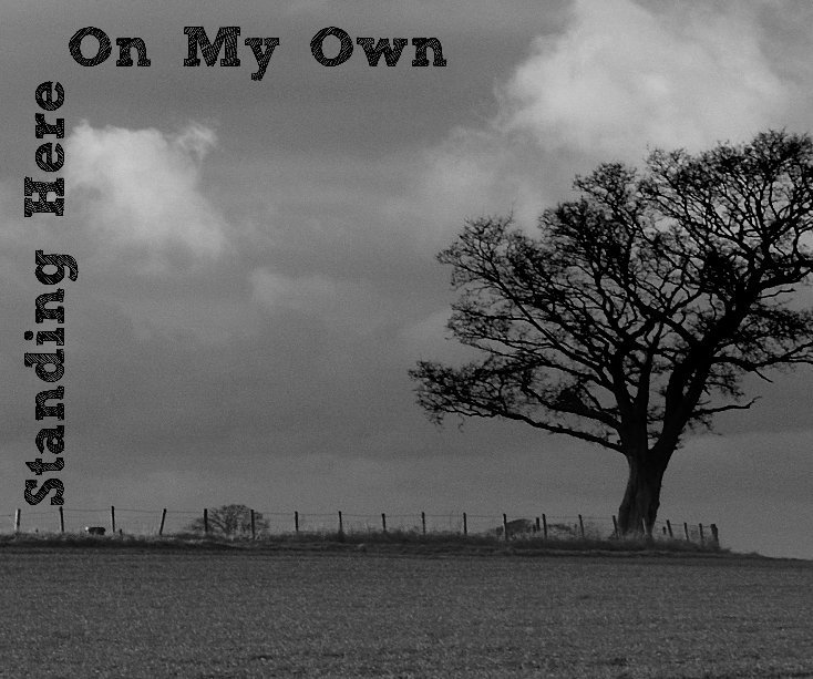 View Standing Here On My Own by Carlo Mullen