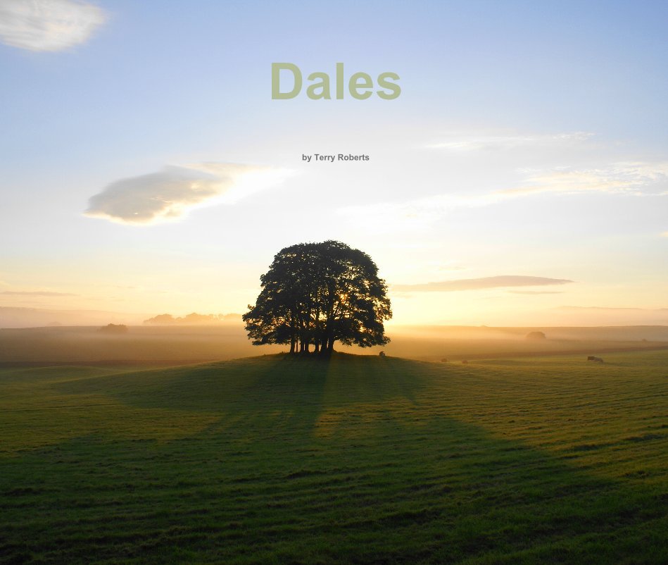 View Dales by Terry Roberts