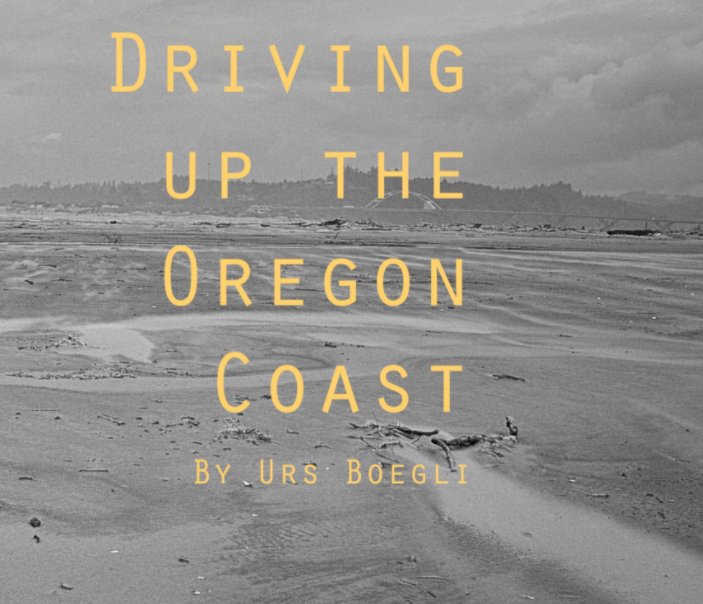 View Along the Oregon Coast by Urs Boegli