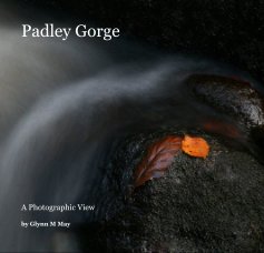 Padley Gorge book cover