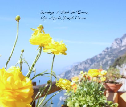 Spending A Week In Heaven
By: Angelo Joseph Caruso book cover