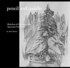pencil and paddle book cover