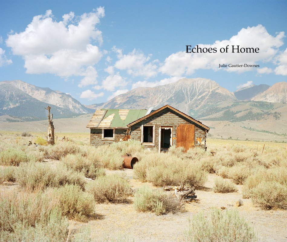 View Echoes of Home by Julie Gautier-Downes
