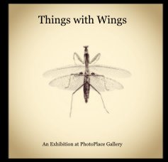 Things with Wings book cover