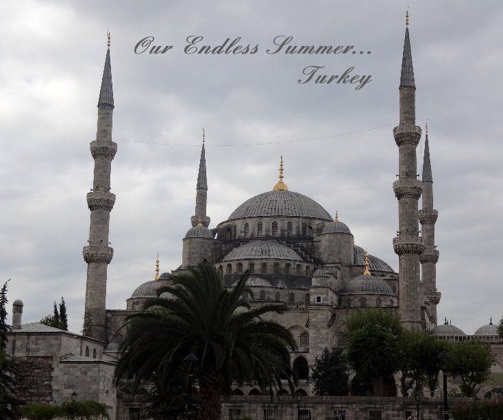 View Our Endless Summer... Turkey by Sandra Ann Alan-Lee