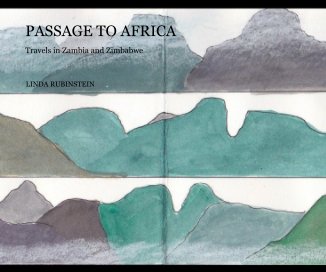 PASSAGE TO AFRICA book cover