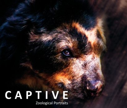Captive: Zoological Portraits book cover