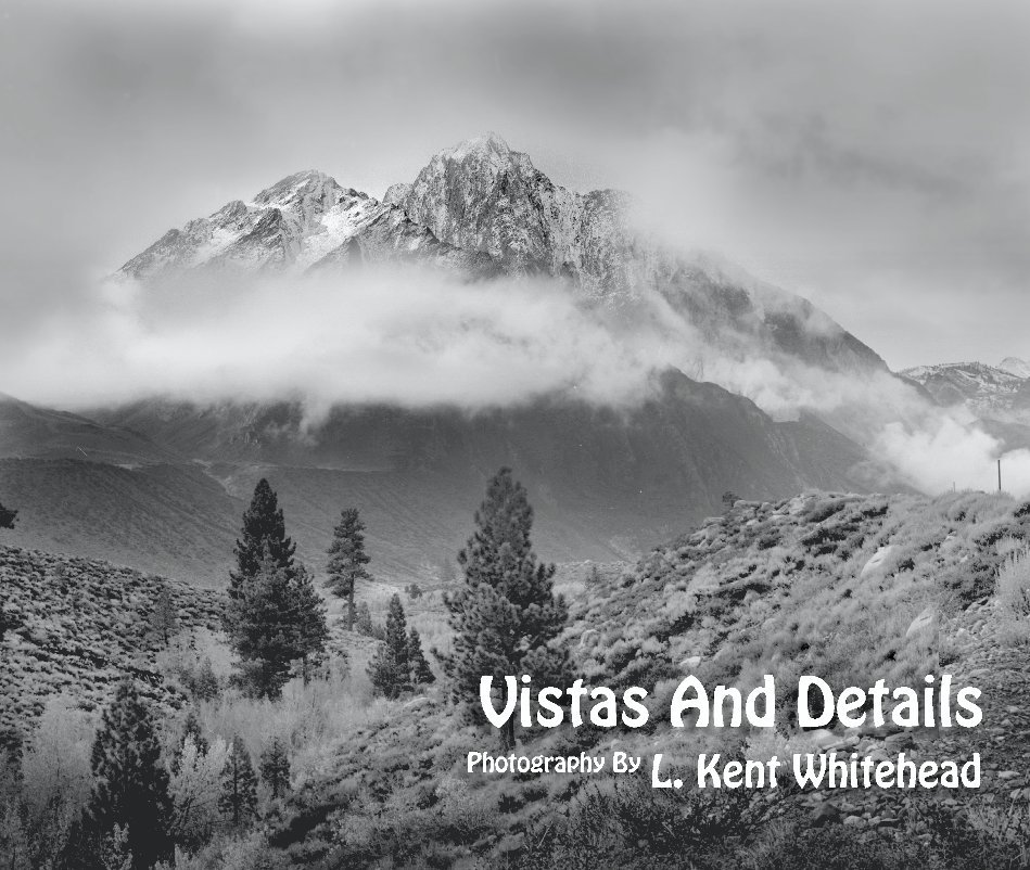 View Vistas and Details by L Kent Whitehead