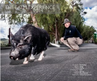 EATM Experience 2014 book cover