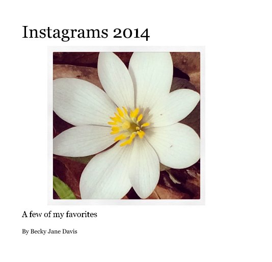 View Instagrams 2014 by Becky Jane Davis
