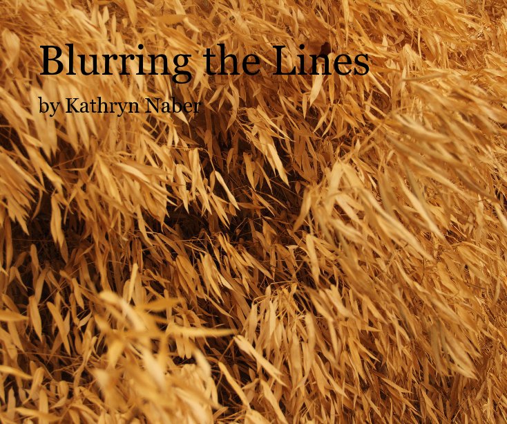 View Blurring the Lines by Kathryn Naber