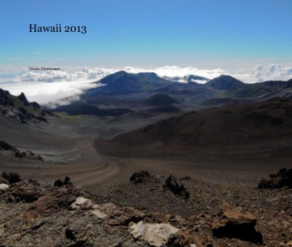 Hawaii 2013 book cover
