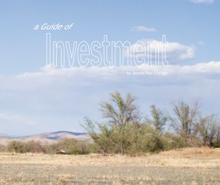 A Guide for Investment book cover