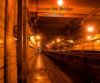 Across the Bridge book cover