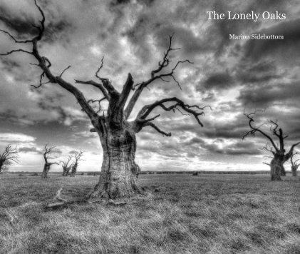 The Lonely Oaks (Large Format) book cover