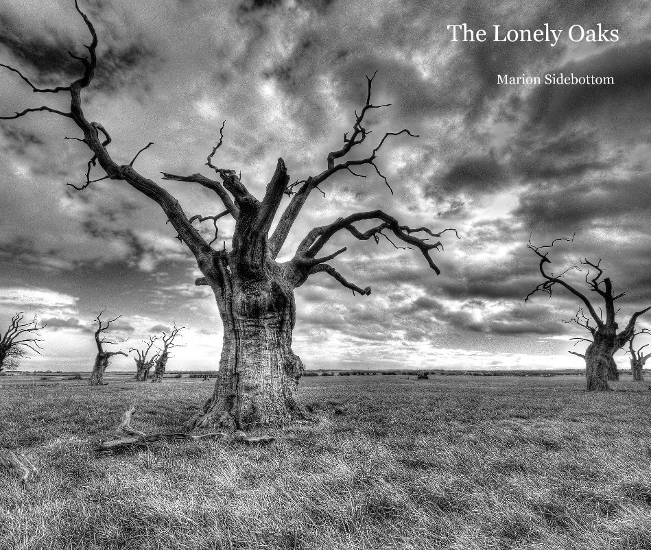 Ver The Lonely Oaks (Large Format) por Marion Sidebottom